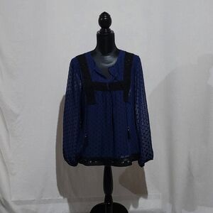 Daniel Rainn blouse peasant boho sheer blue shirt embroidery whimsigoth fairy